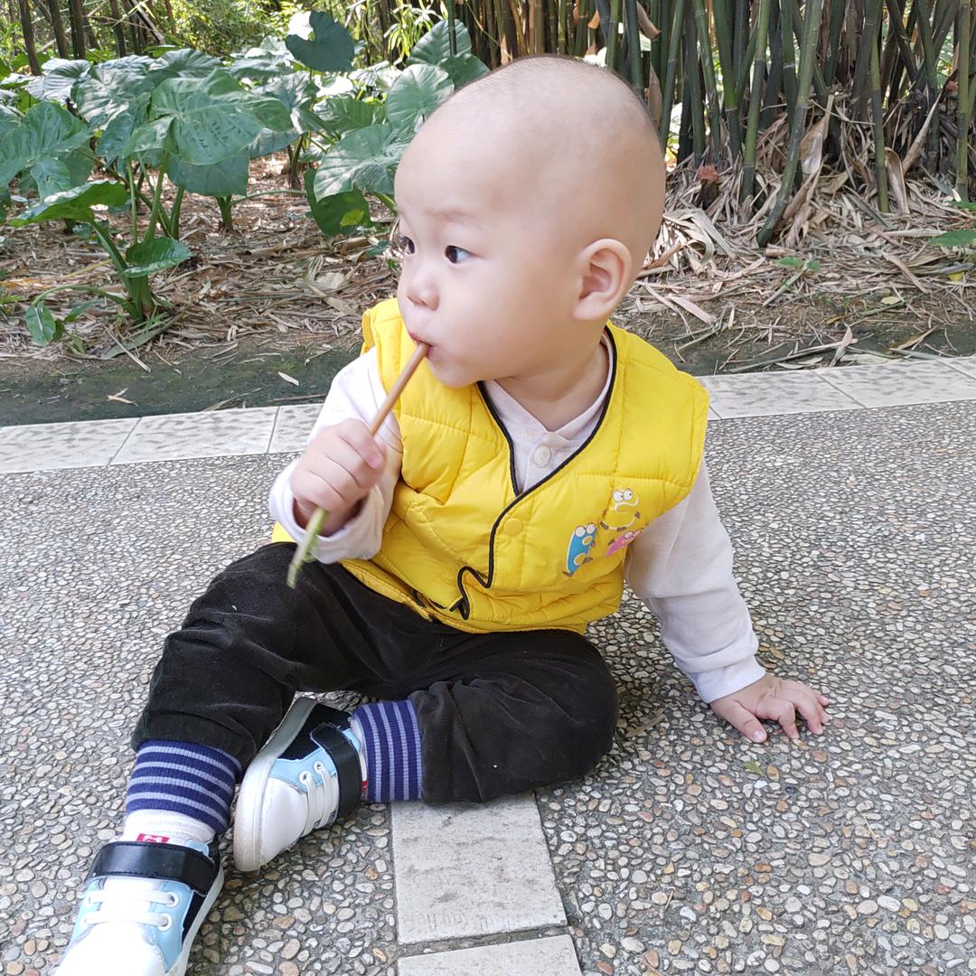 清杨