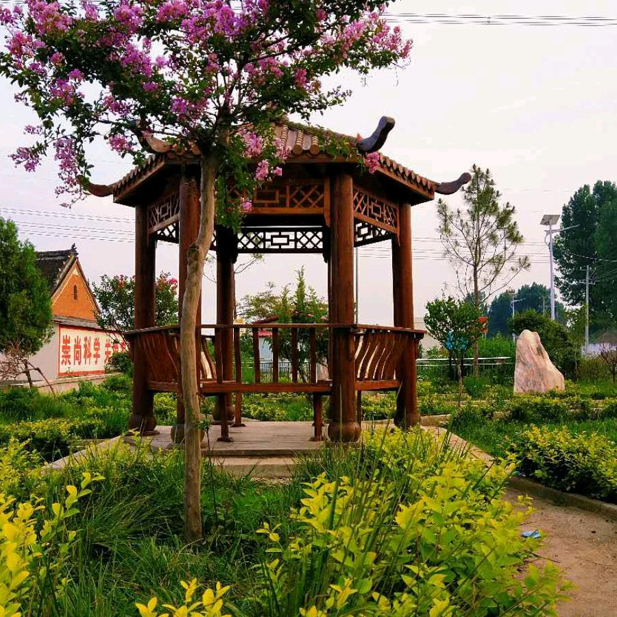 杨小春