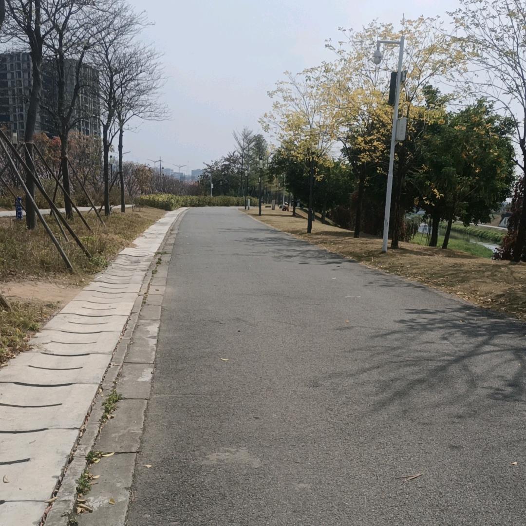 名字只是个称呼头像