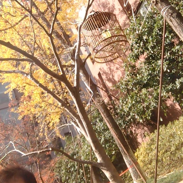 用户4384529070873