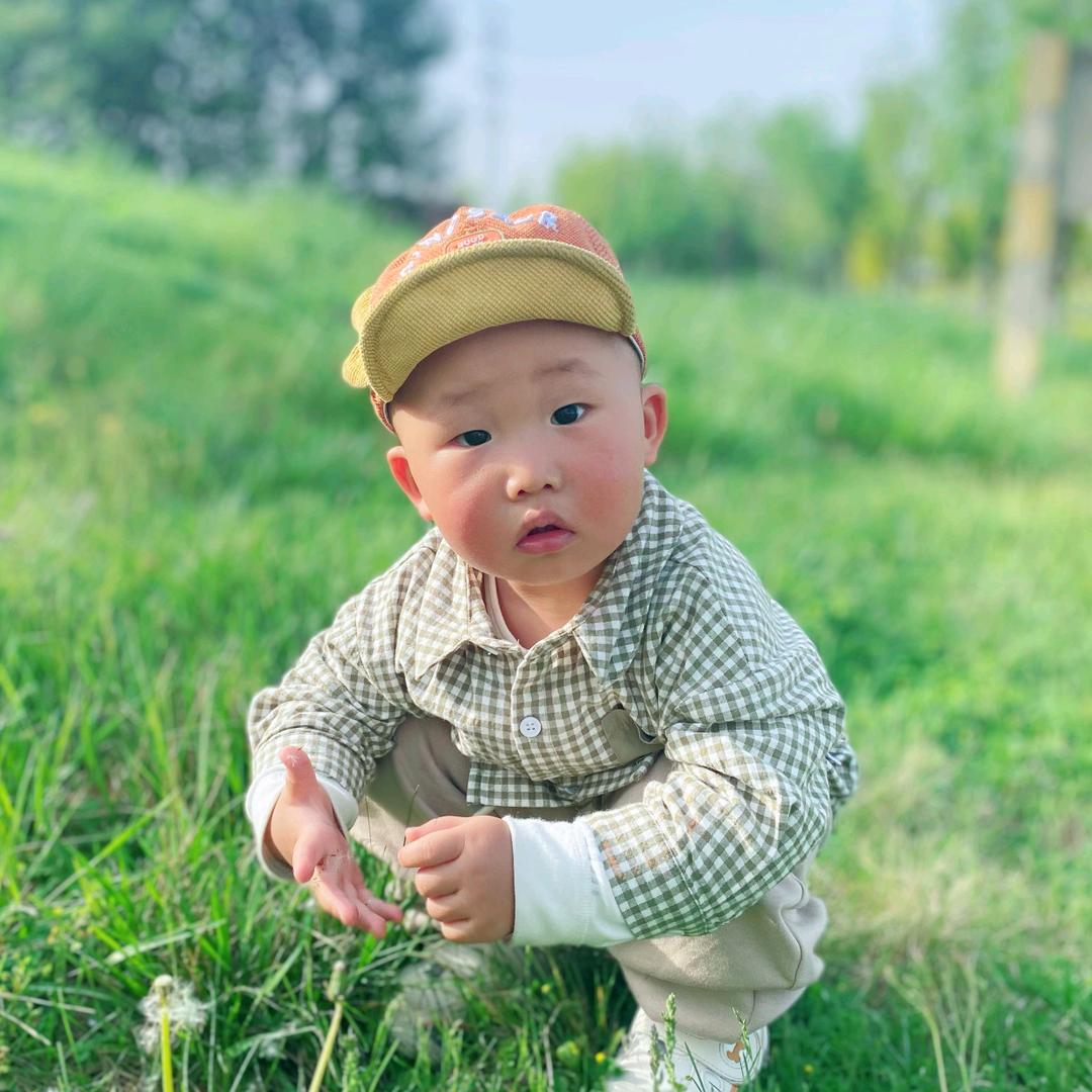 芳草萋萋鹦鹉洲