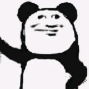 动物排排站