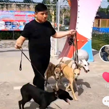 辉煌犬业