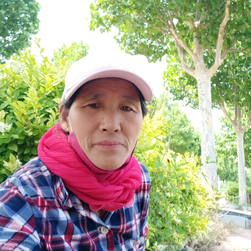 花開若相惜