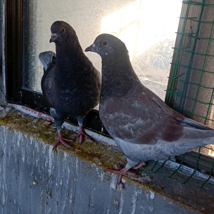 隔壁老王。有缘必相见