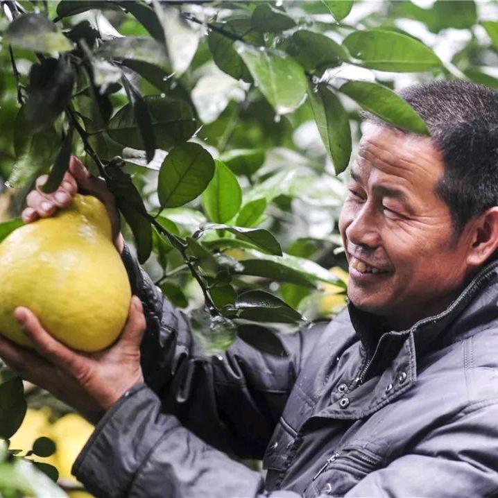 老古的坨寨柚🔥