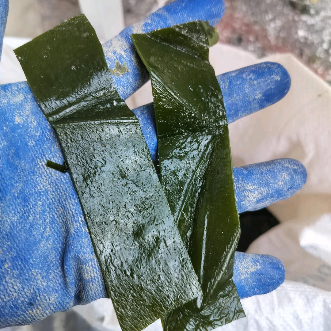 宿州海带干货经营部