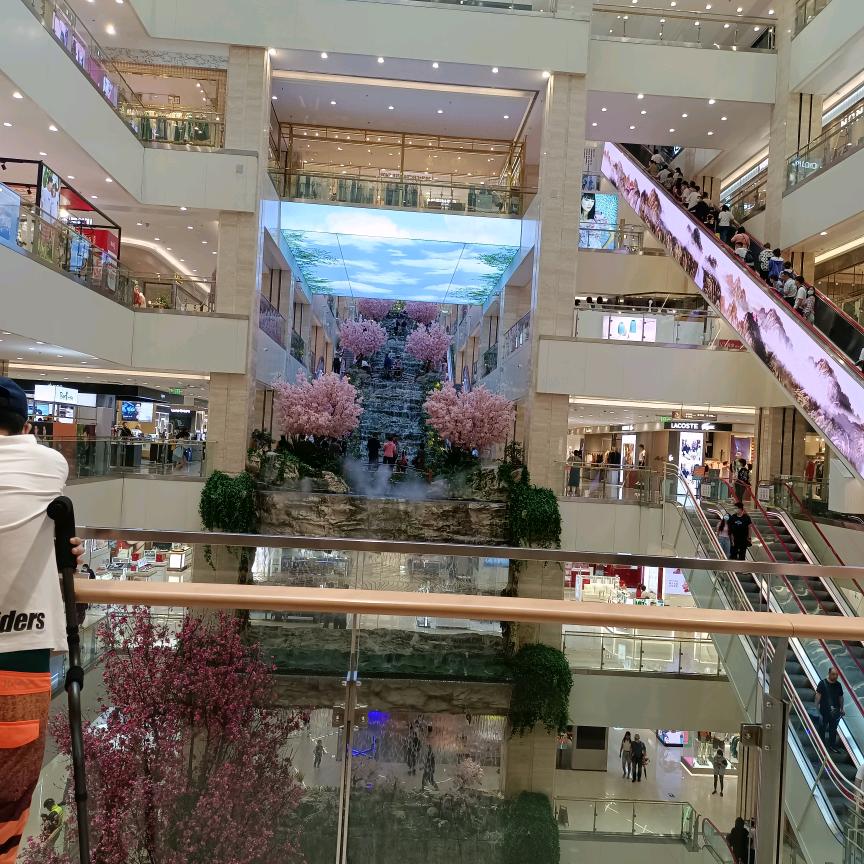 @不必🌼谁🌲懂我🌹🌹