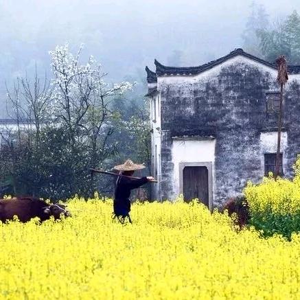 杭州麦恩