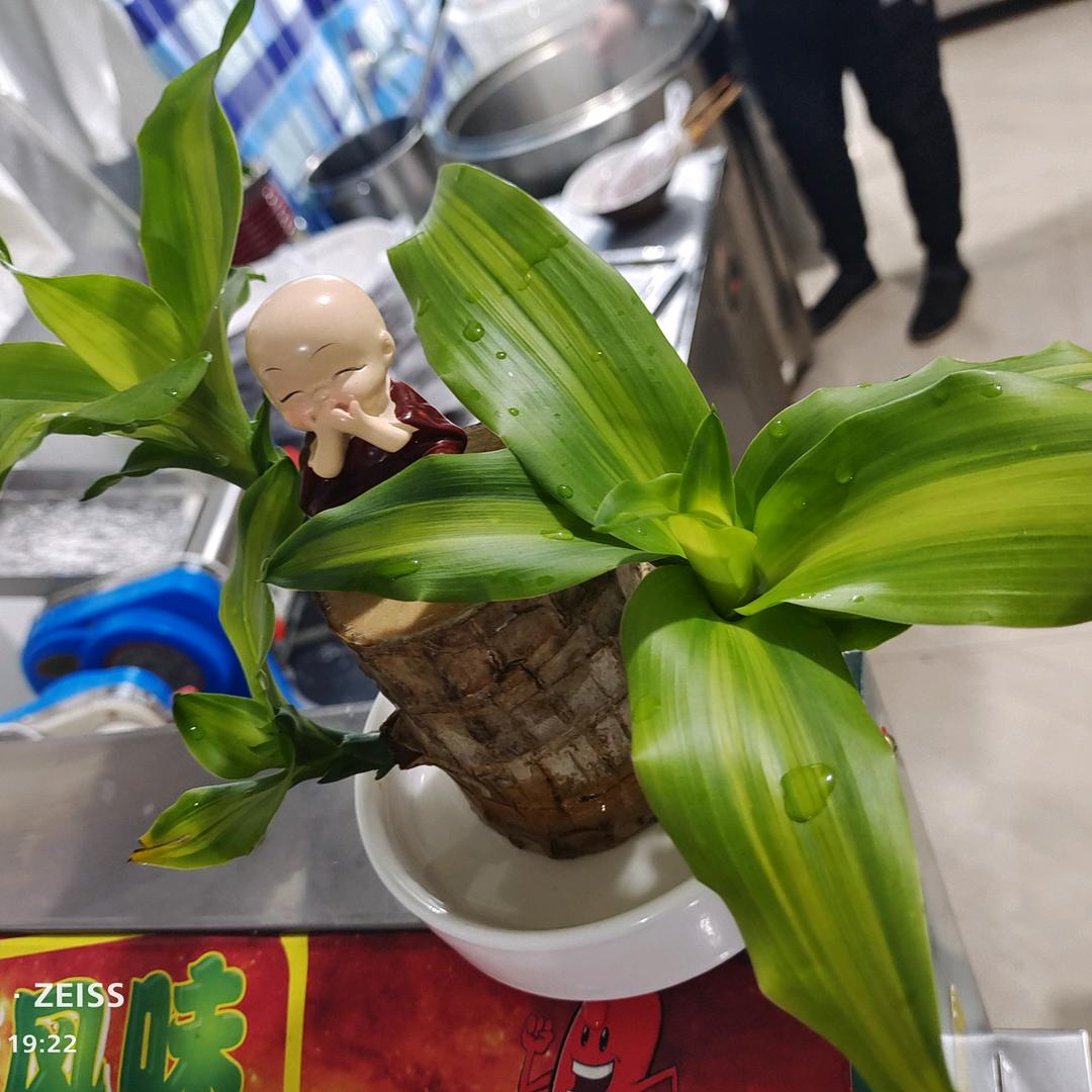 川人(H)在冀(R)(奎)