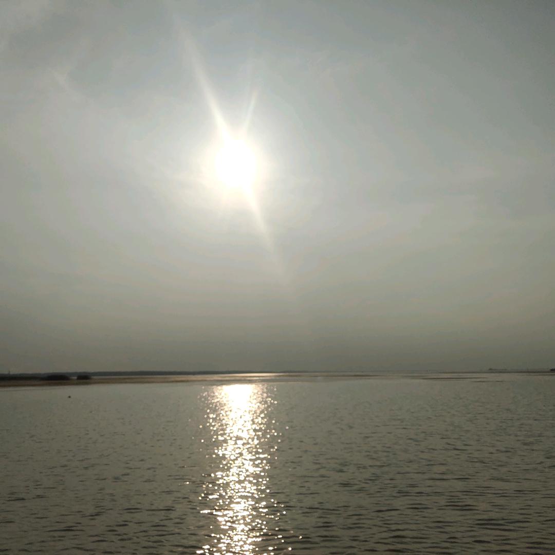 倾注半生为一人🥕