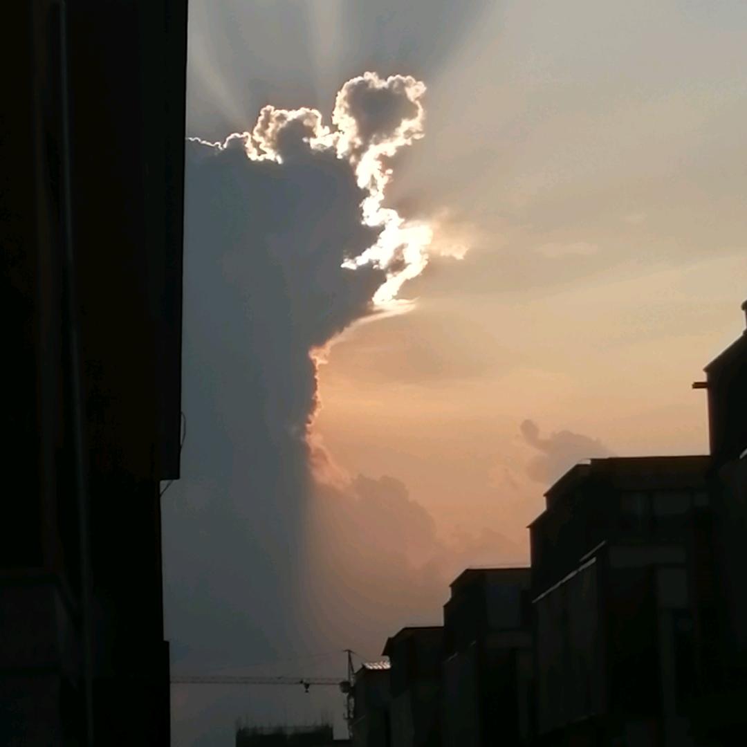 我家门前有两棵树