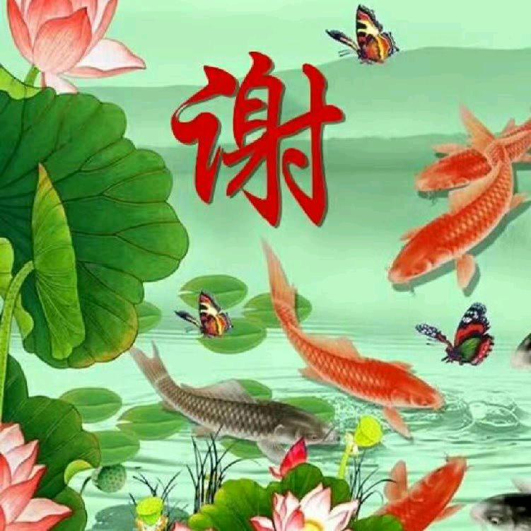 用户美好生活