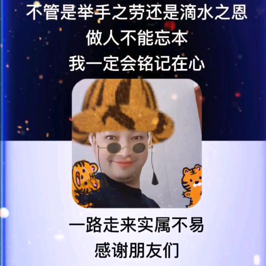 🐉凤雷🐯装饰🐲