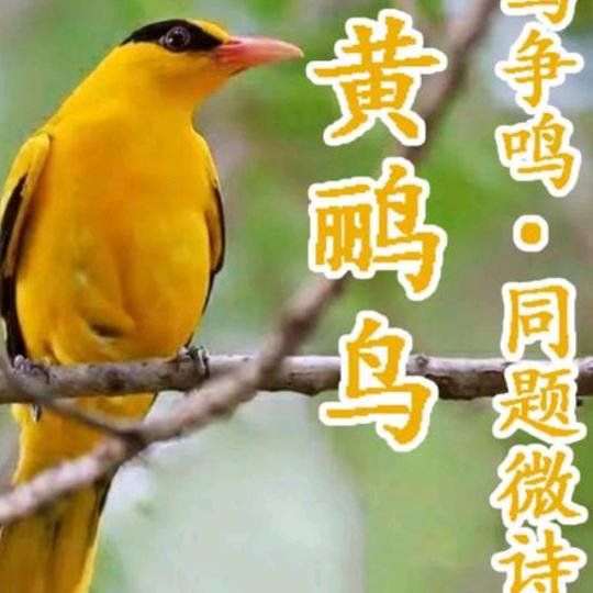 用户4463525688917阳光