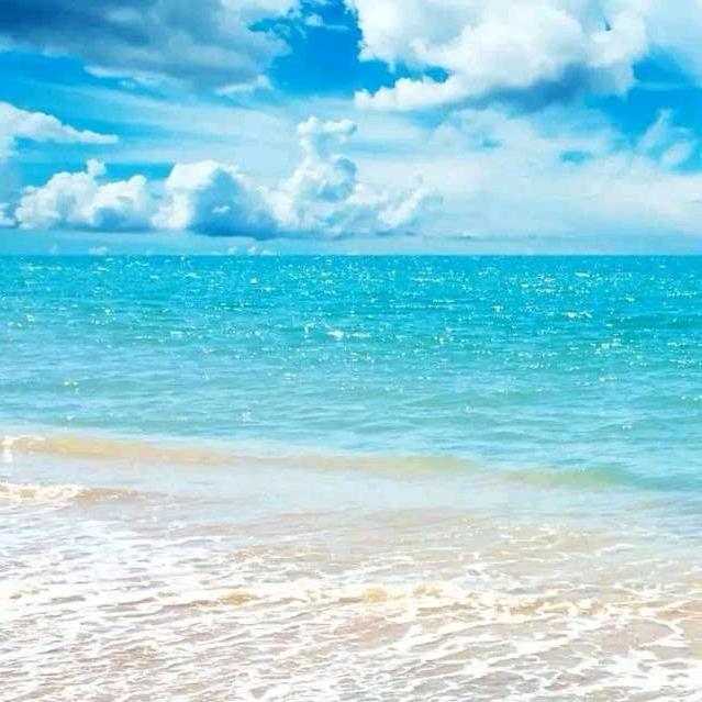 柯顺烟酒官方号