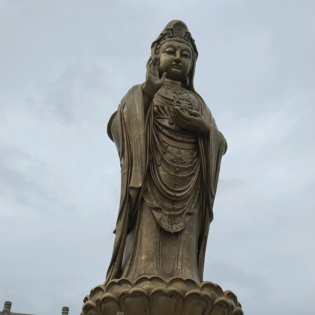 泰山小杨哥