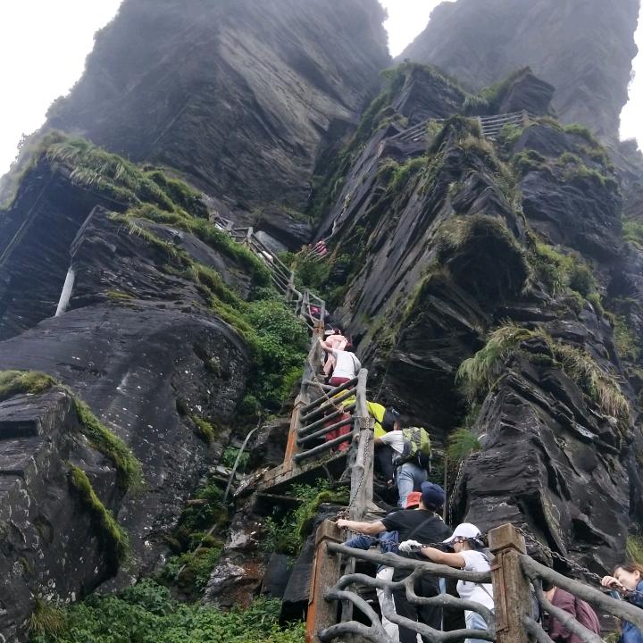 顺心