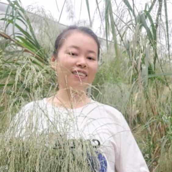 双柚芝