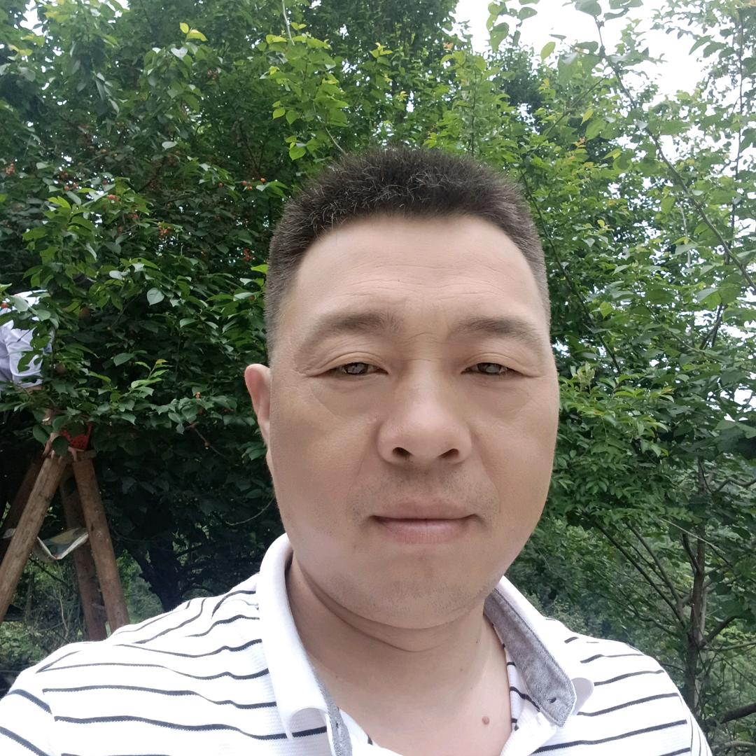 不打虎的伍松