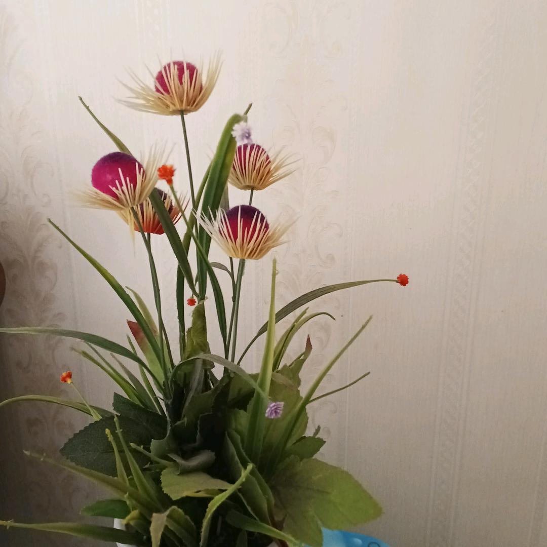 爱世间万物
