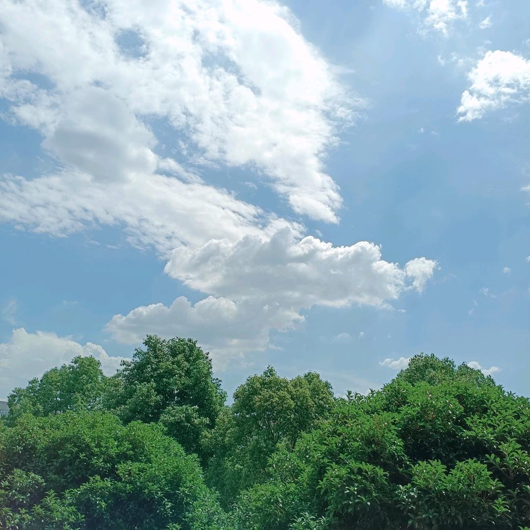 清雲