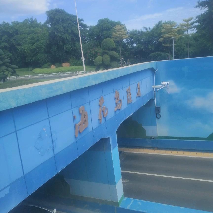 朋态宗