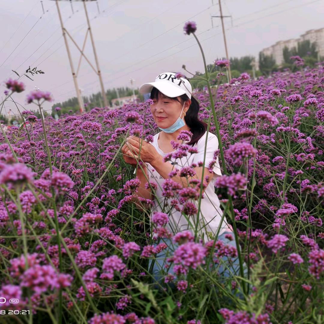 柠檬草( •︠ˍ•︡ )