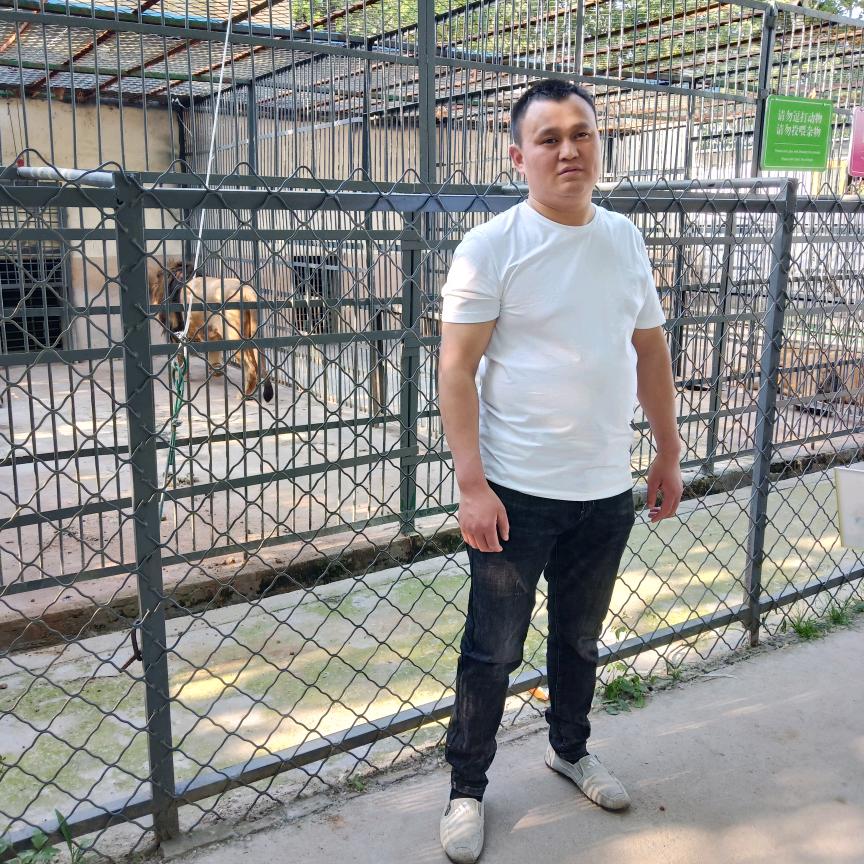 你若盛开，清风自来！