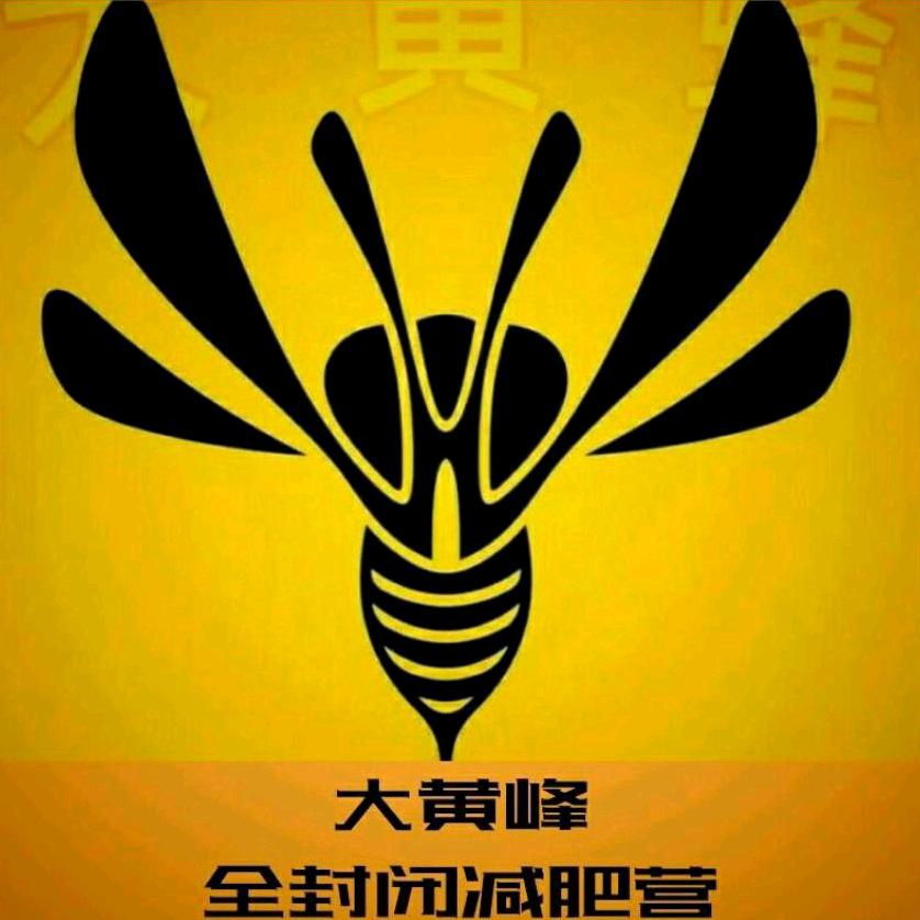 大黄蜂减肥训练营