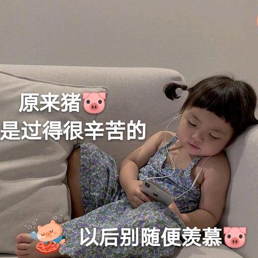仔豆小主🐶