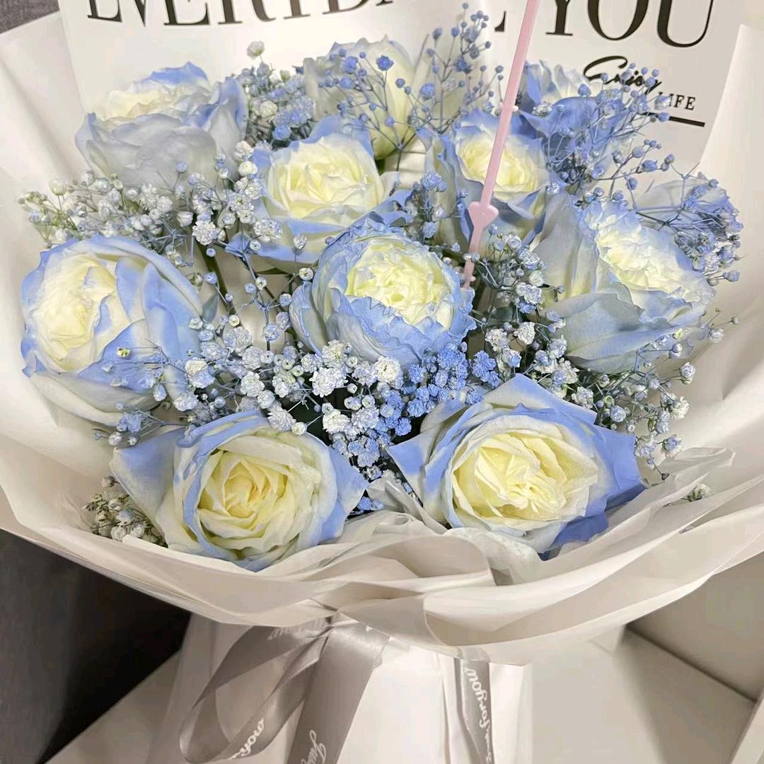 灵远车品优选店