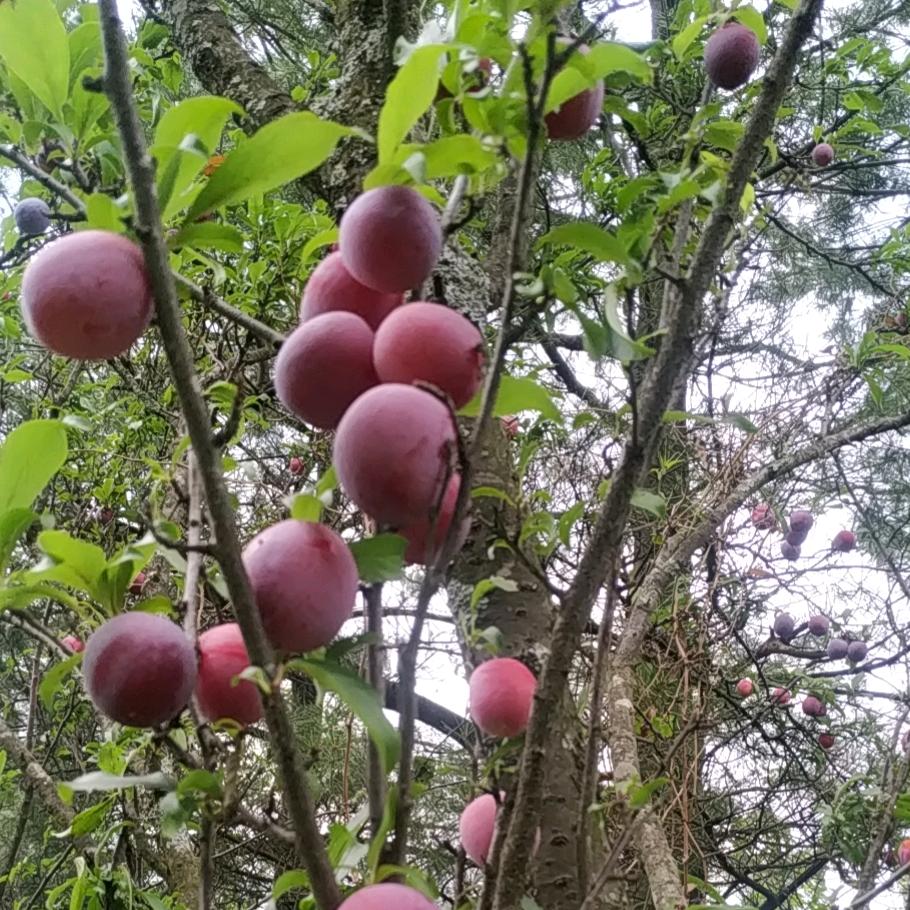 牵手