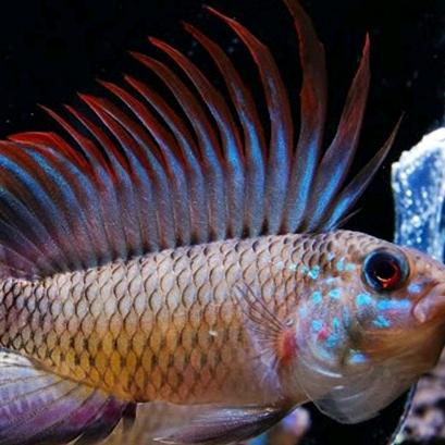 一个奋斗中的卖房人