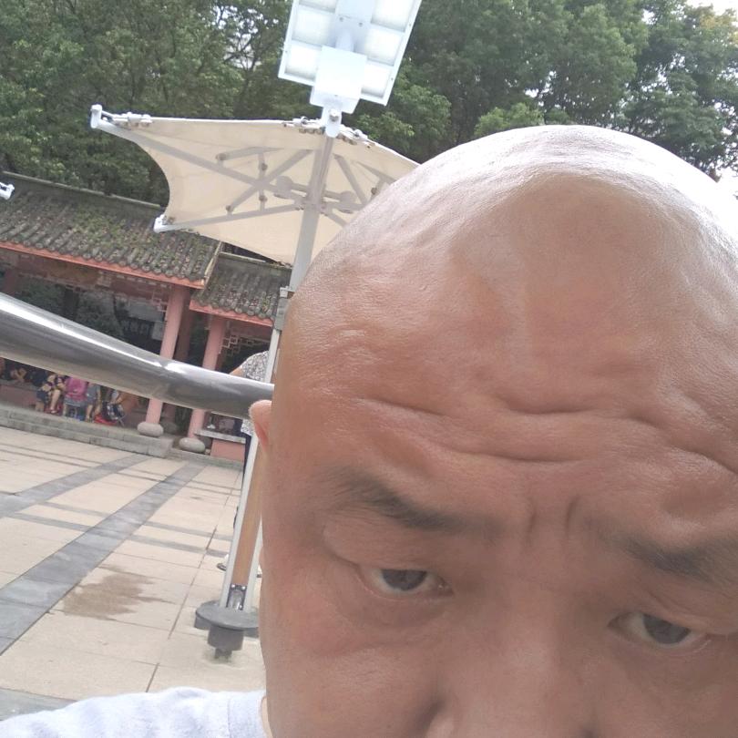 多才人到中年