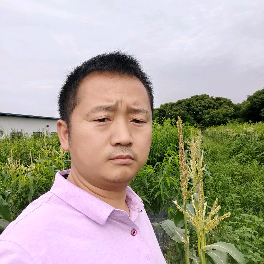农民熊小波