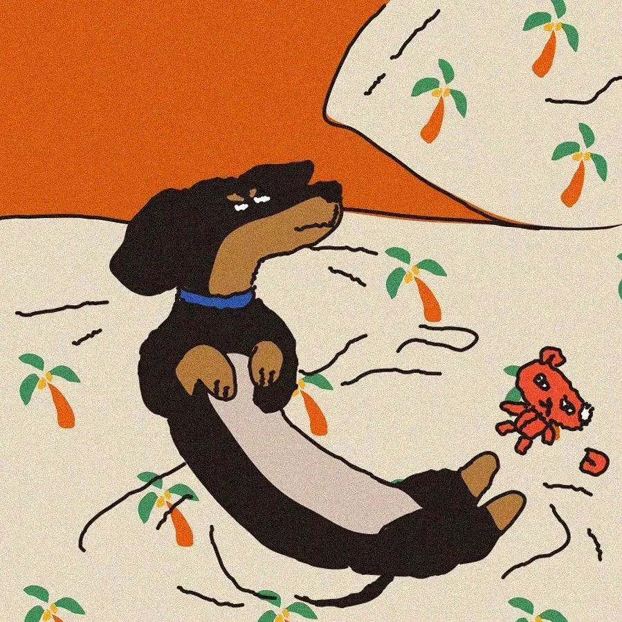 你的哈哈_