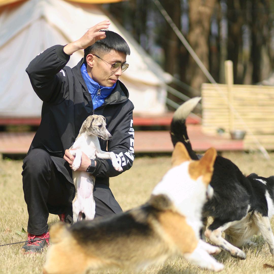 徐汪汪训犬学院(台州店)官方号