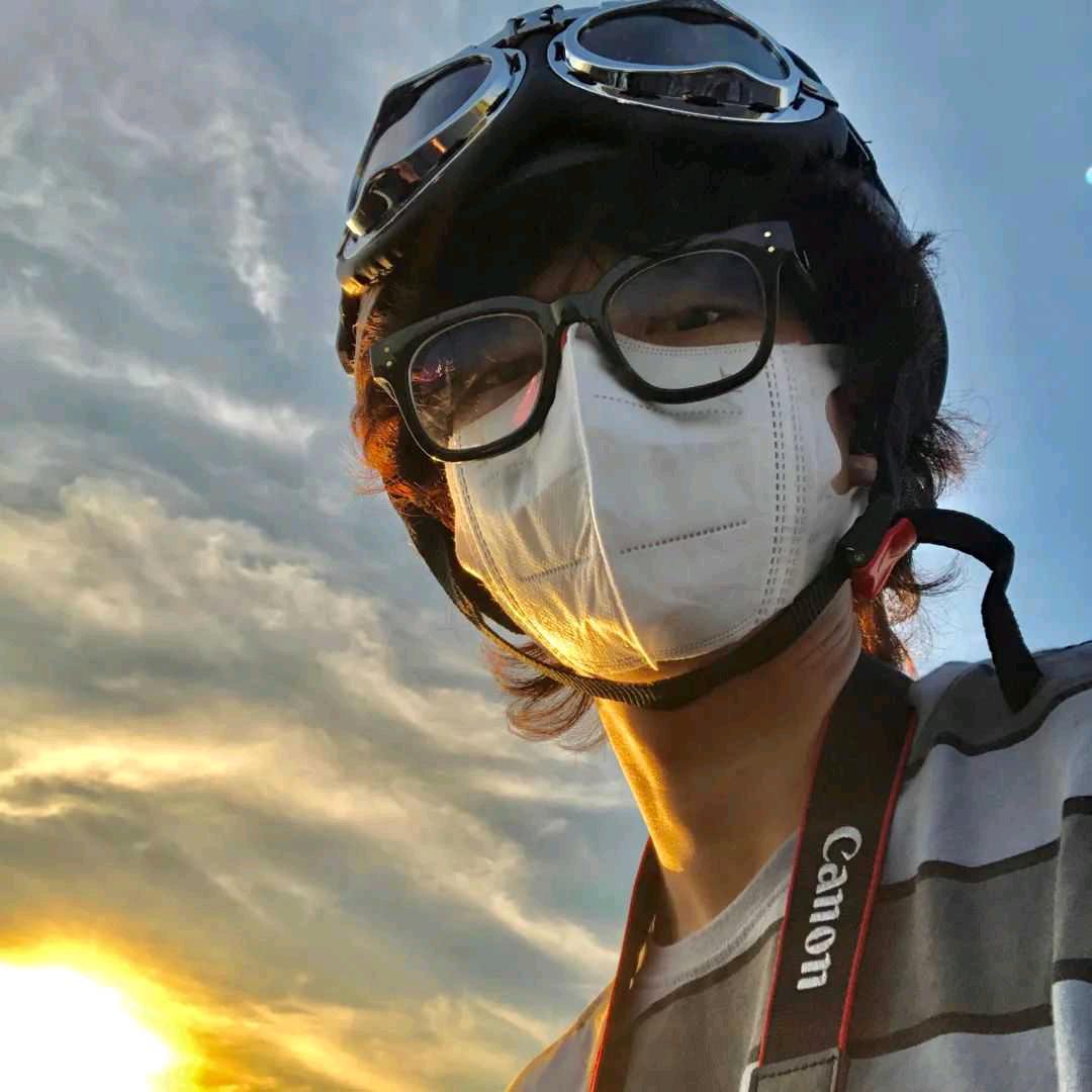 夏岚