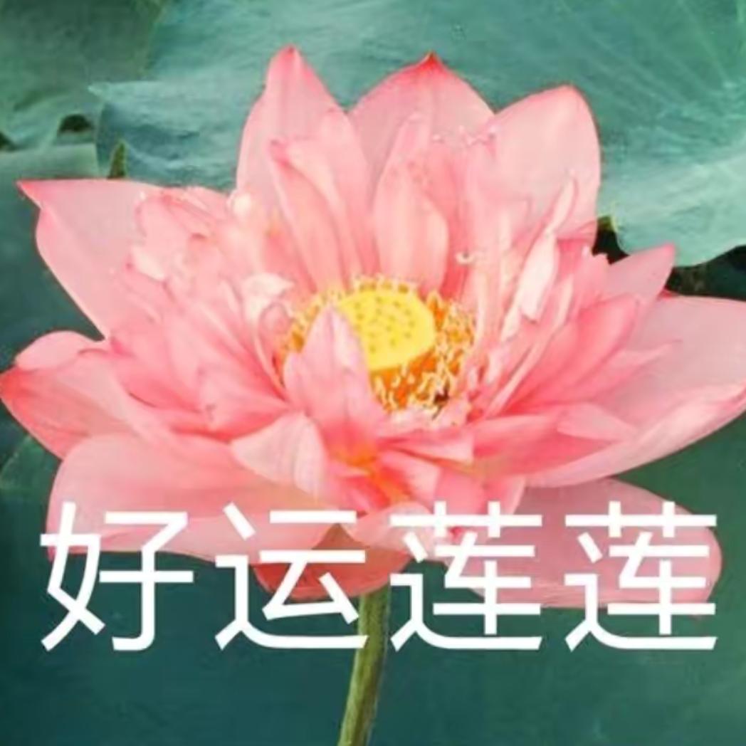 ℳঞ平安是福 ꦿ ໌້ᮨ꧔ꦿ᭄💕