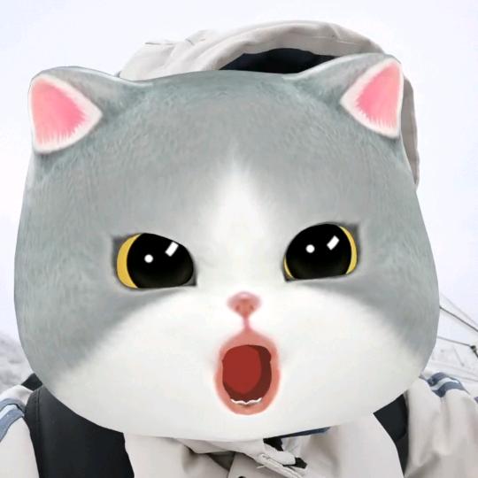 保持每天开心😊