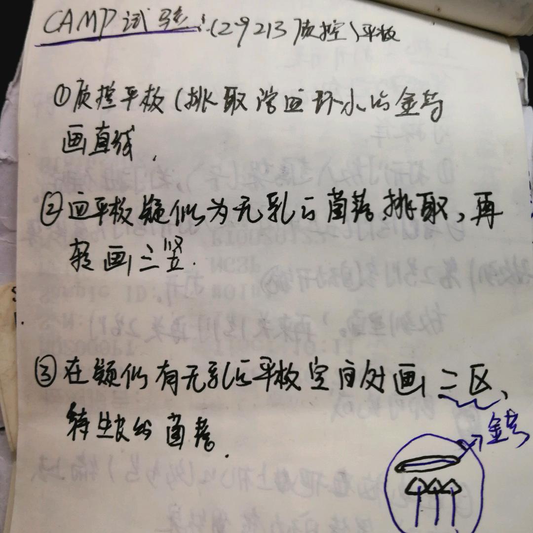 芝麻开花