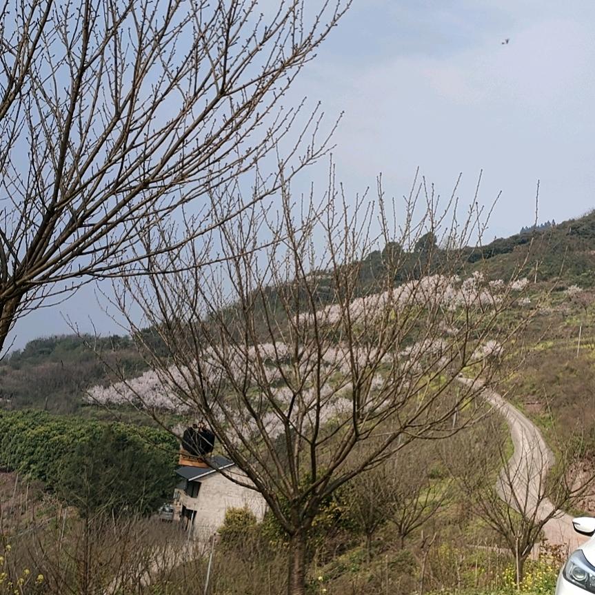 建哥