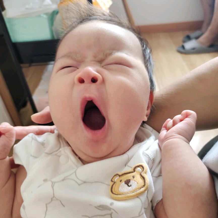 小麦麦（知予）