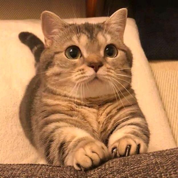 阴晴不定大哥哥