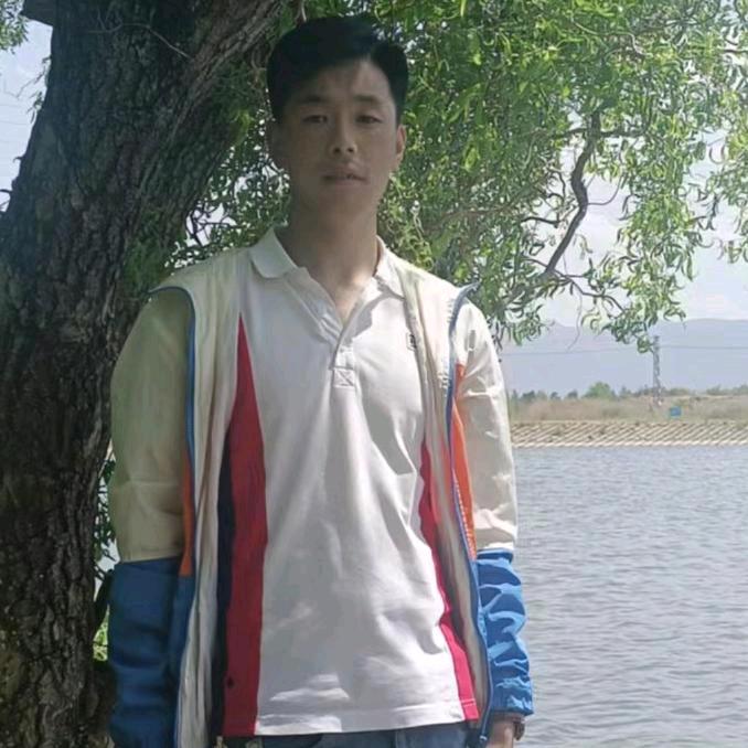 纳西阿军