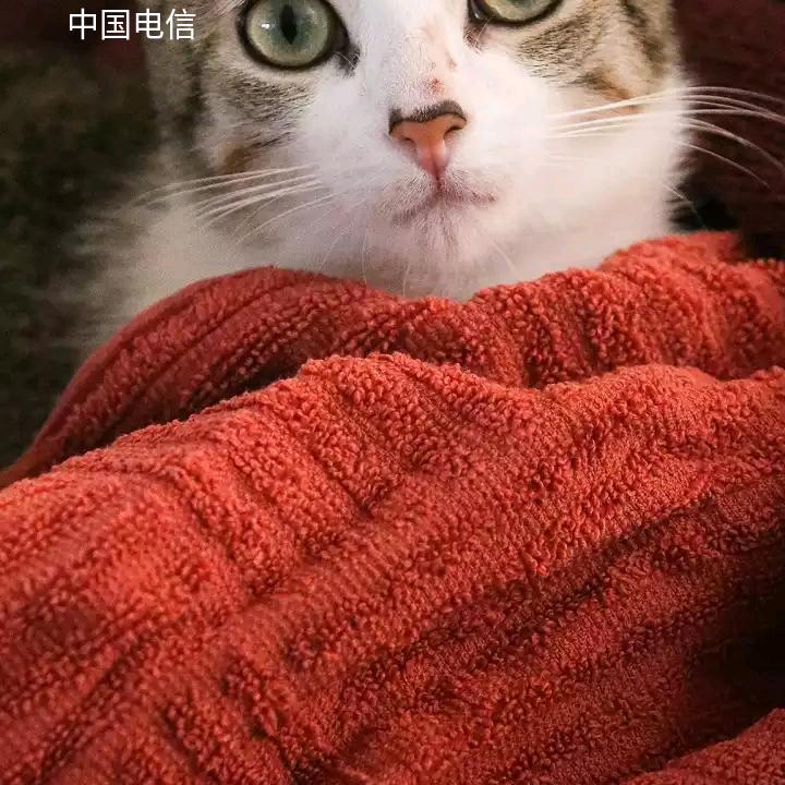 5路