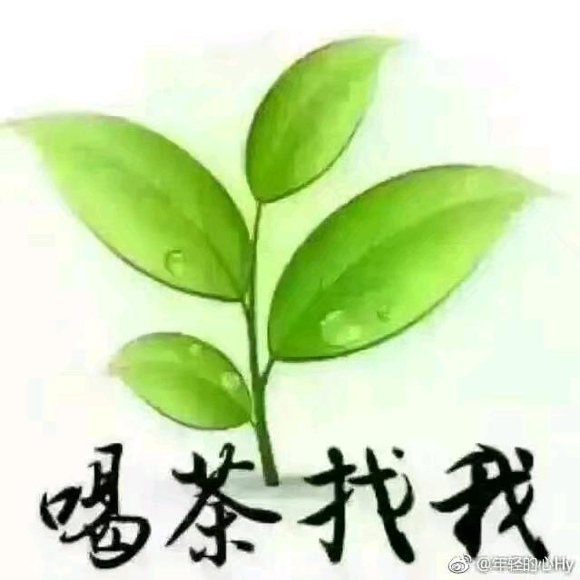 雪飘飘