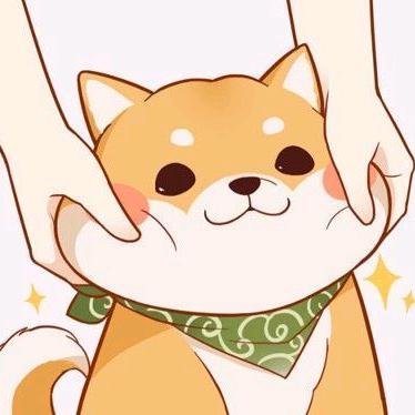 小猪小猪🐷