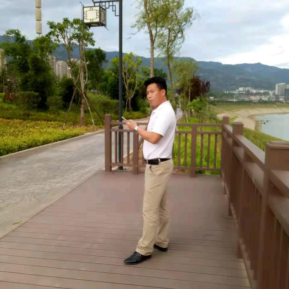 动之以情